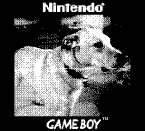 Game Boy Screenshot